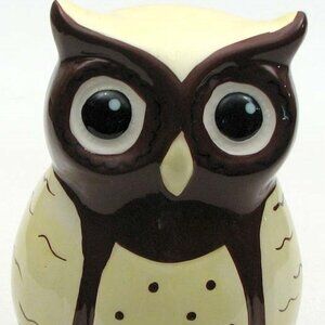 Ceramic Owl Coin $$ Money Bank 6 1/2" tall x 4 1/4" wide 22134